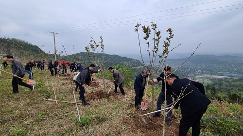 挥汗添新绿 植树正当时.jpg